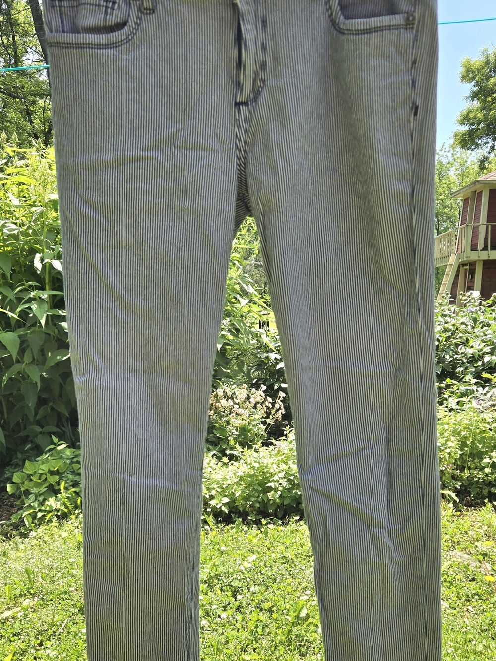 Women's Slim Fit Pinstripe Pants - Navy/White
